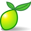 lime survey icon